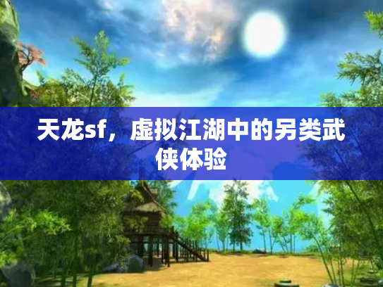 天龙sf，虚拟江湖中的另类武侠体验