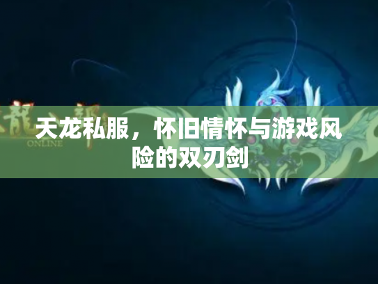 天龙私服，怀旧情怀与游戏风险的双刃剑