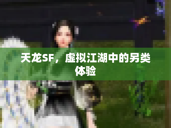 天龙SF，虚拟江湖中的另类体验