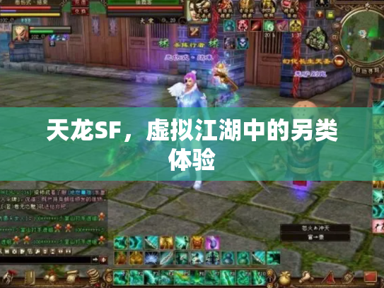 天龙SF，虚拟江湖中的另类体验