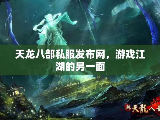 天龙八部私服发布网，游戏江湖的另一面
