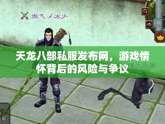 天龙八部私服发布网，游戏情怀背后的风险与争议