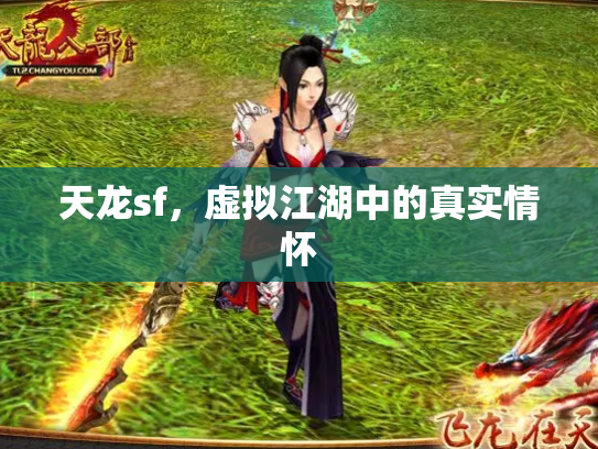 天龙sf，虚拟江湖中的真实情怀