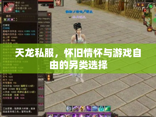 天龙私服，怀旧情怀与游戏自由的另类选择