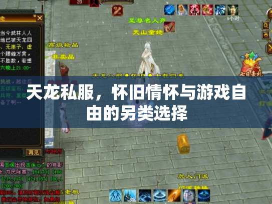 天龙私服，怀旧情怀与游戏自由的另类选择