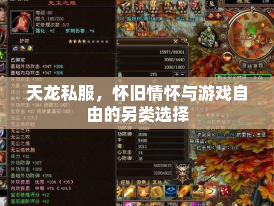 天龙私服，怀旧情怀与游戏自由的另类选择