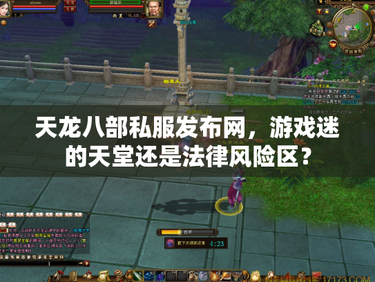 天龙八部私服发布网，游戏迷的天堂还是法律风险区？