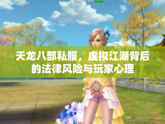 天龙八部私服，虚拟江湖背后的法律风险与玩家心理