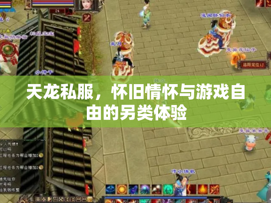 天龙私服，怀旧情怀与游戏自由的另类体验
