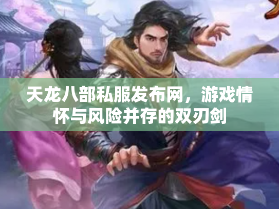 天龙八部私服发布网，游戏情怀与风险并存的双刃剑