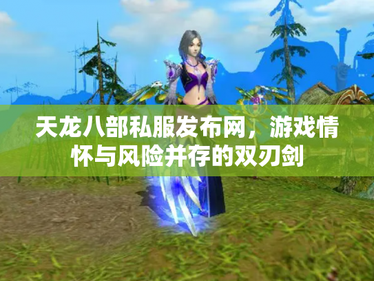 天龙八部私服发布网，游戏情怀与风险并存的双刃剑