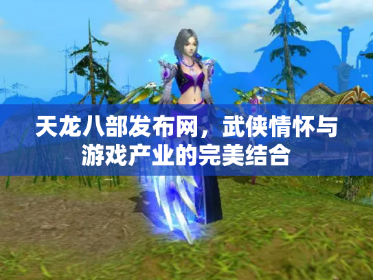 天龙八部发布网，武侠情怀与游戏产业的完美结合