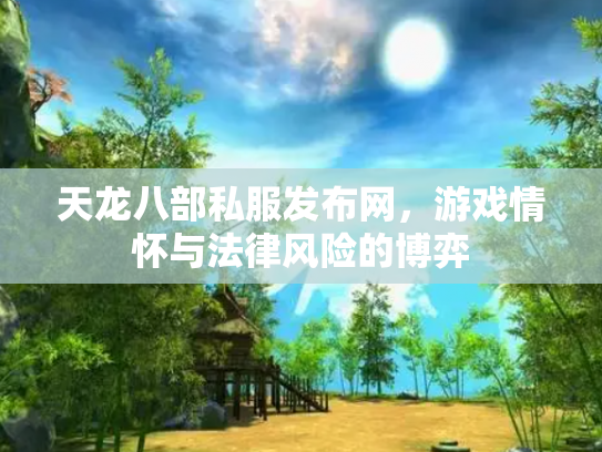 天龙八部私服发布网，游戏情怀与法律风险的博弈