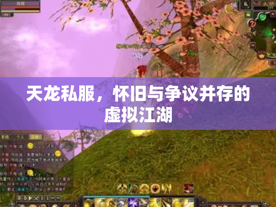 天龙私服，怀旧与争议并存的虚拟江湖