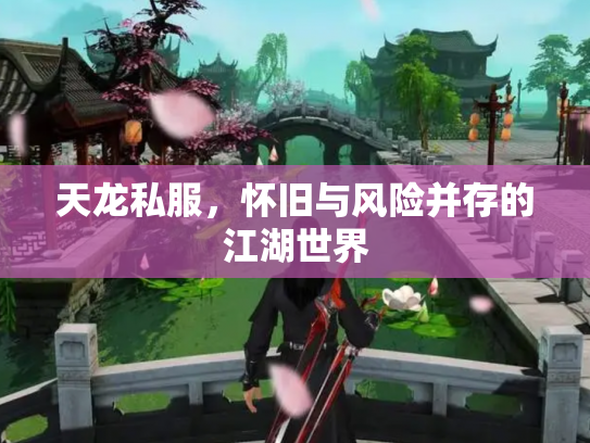 天龙私服，怀旧与风险并存的江湖世界