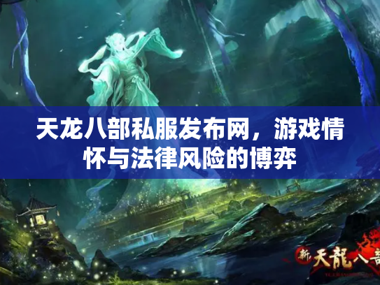 天龙八部私服发布网，游戏情怀与法律风险的博弈