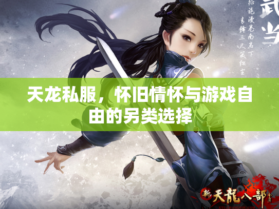 天龙私服，怀旧情怀与游戏自由的另类选择