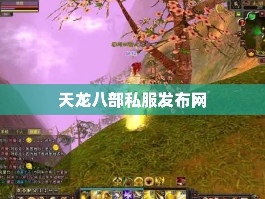 天龙八部私服发布网