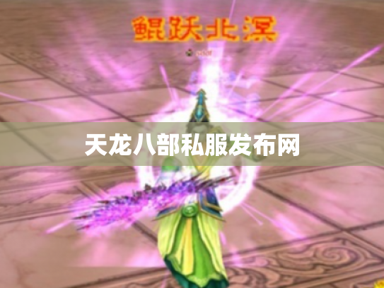 天龙八部私服发布网