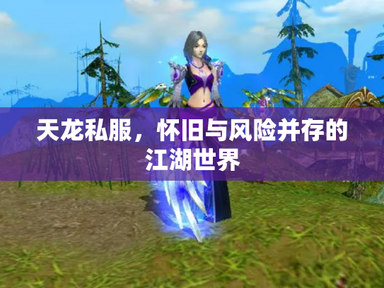 天龙私服，怀旧与风险并存的江湖世界