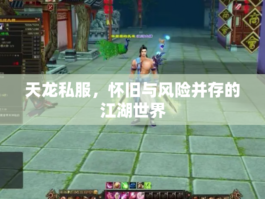 天龙私服，怀旧与风险并存的江湖世界