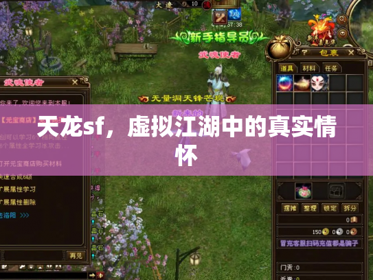天龙sf，虚拟江湖中的真实情怀