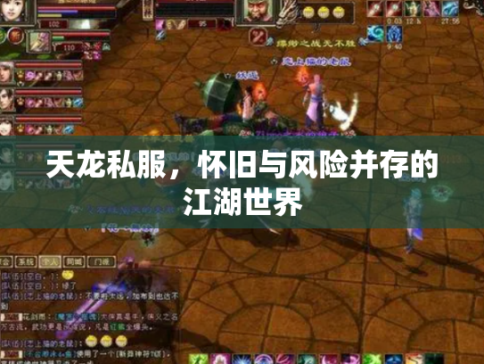 天龙私服，怀旧与风险并存的江湖世界