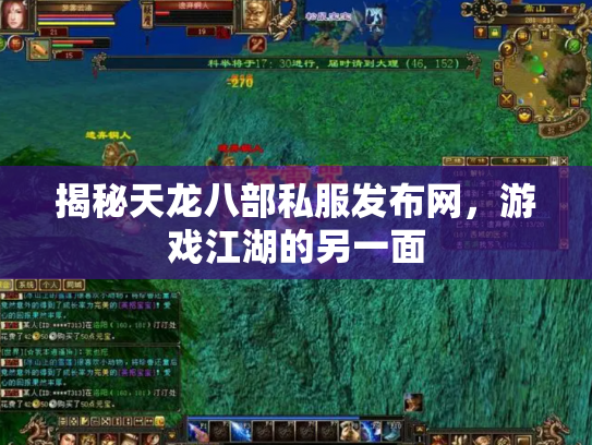 揭秘天龙八部私服发布网，游戏江湖的另一面