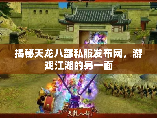 揭秘天龙八部私服发布网，游戏江湖的另一面