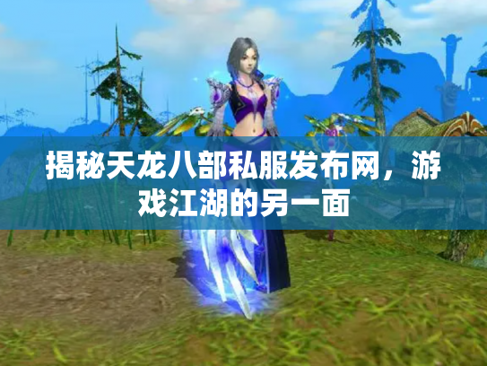 揭秘天龙八部私服发布网，游戏江湖的另一面