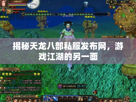 揭秘天龙八部私服发布网，游戏江湖的另一面