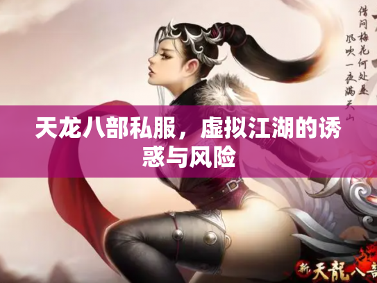 天龙八部私服，虚拟江湖的诱惑与风险