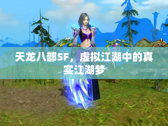 天龙八部SF，虚拟江湖中的真实江湖梦