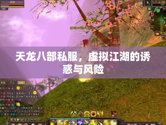天龙八部私服，虚拟江湖的诱惑与风险