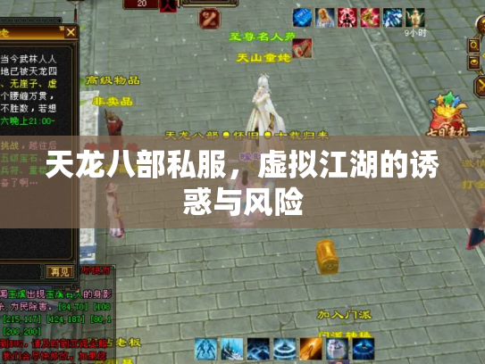 天龙八部私服，虚拟江湖的诱惑与风险