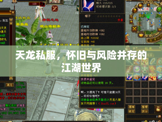 天龙私服，怀旧与风险并存的江湖世界
