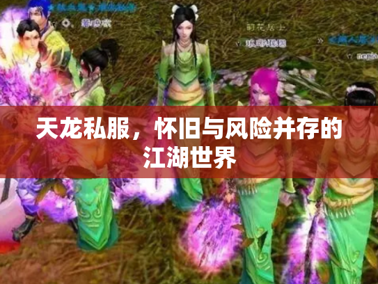 天龙私服，怀旧与风险并存的江湖世界