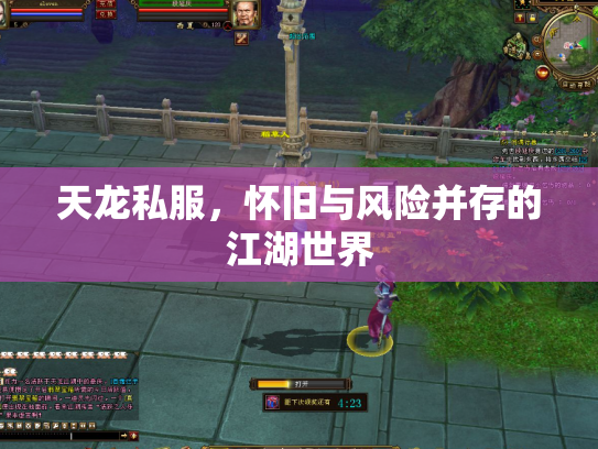 天龙私服，怀旧与风险并存的江湖世界