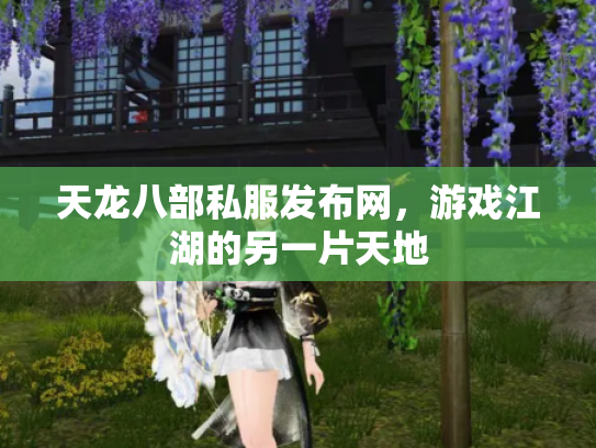 天龙八部私服发布网，游戏江湖的另一片天地