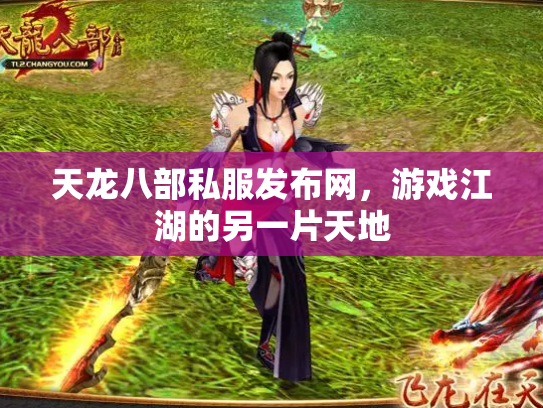 天龙八部私服发布网，游戏江湖的另一片天地