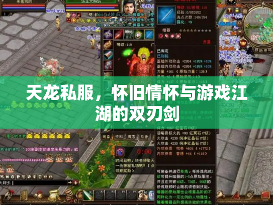 天龙私服，怀旧情怀与游戏江湖的双刃剑