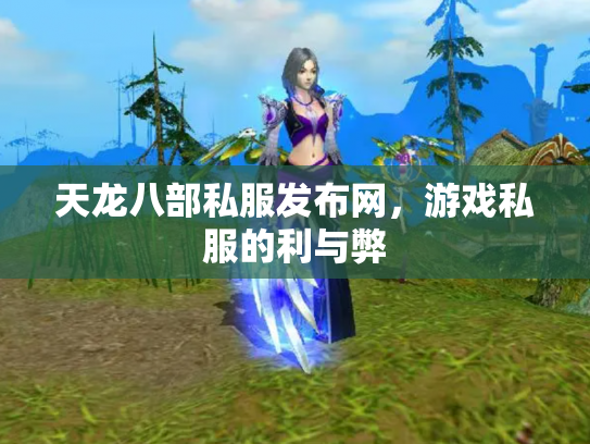 天龙八部私服发布网，游戏私服的利与弊