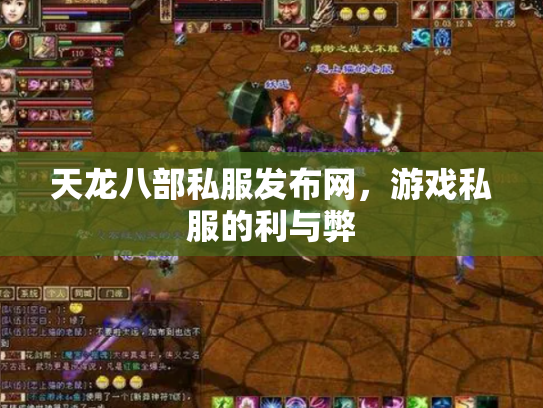 天龙八部私服发布网，游戏私服的利与弊