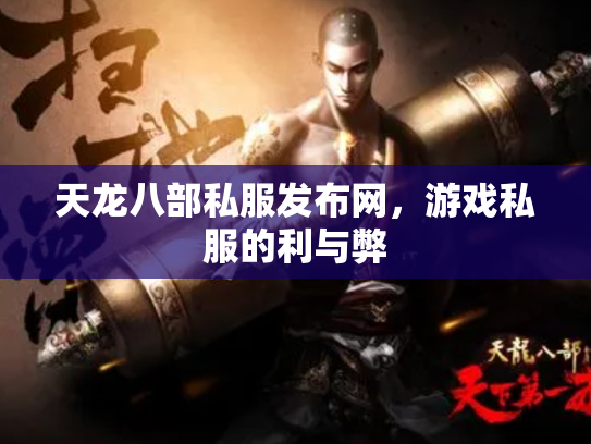 天龙八部私服发布网，游戏私服的利与弊