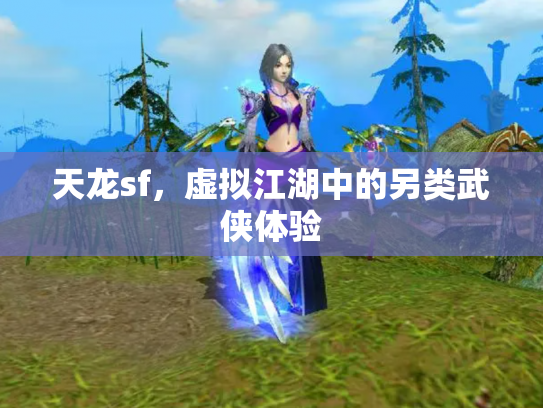 天龙sf，虚拟江湖中的另类武侠体验