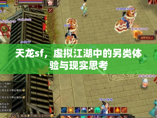 天龙sf，虚拟江湖中的另类体验与现实思考