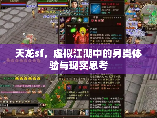 天龙sf，虚拟江湖中的另类体验与现实思考