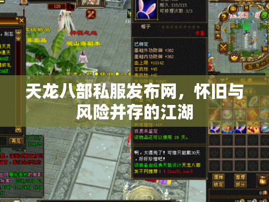 天龙八部私服发布网，怀旧与风险并存的江湖