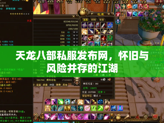 天龙八部私服发布网，怀旧与风险并存的江湖