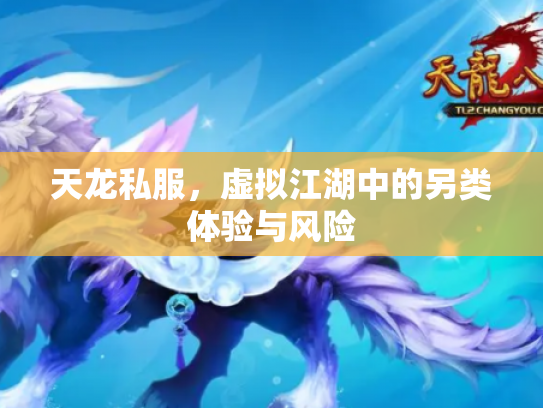 天龙私服，虚拟江湖中的另类体验与风险